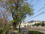 s200408_112_120.jpg