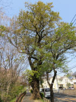 s200408_115_119.jpg