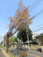 s200408_120_115.jpg