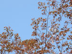 s200408_124_113.jpg