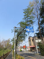 s200408_126_108.jpg