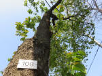 s200408_127_108.jpg