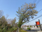 s200408_128_106.jpg