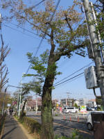s200408_136_103.jpg