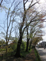 s200408_147_1011-1.jpg