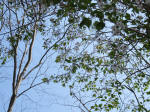 s200408_148_1011-1.jpg
