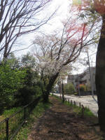 s200408_154_1006-1.jpg