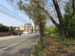 s200408_157_1006.jpg
