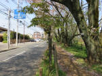 s200408_161_1004.jpg