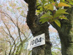 s200408_162_1004.jpg