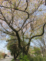s200408_167_1001-2.jpg