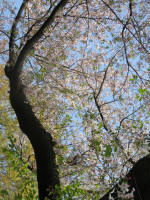s200408_168_1001-2.jpg
