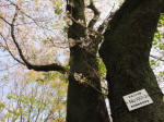 s200408_169_1001-2.jpg