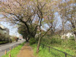 s200408_170_1001-1.jpg