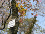 s200408_172_1001-1.jpg
