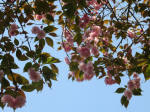 s200408_174_1001-1.jpg