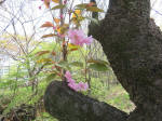 s200408_175_1001-1.jpg