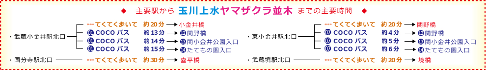 タイトル