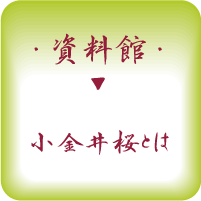 タイトル