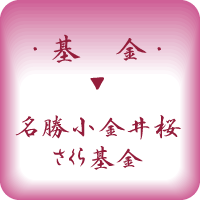 タイトル